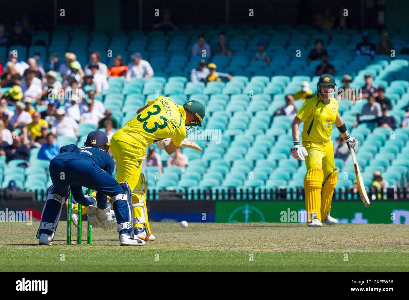 Sydney, Australien. 19. November 2022. CricketSpiel zwischen