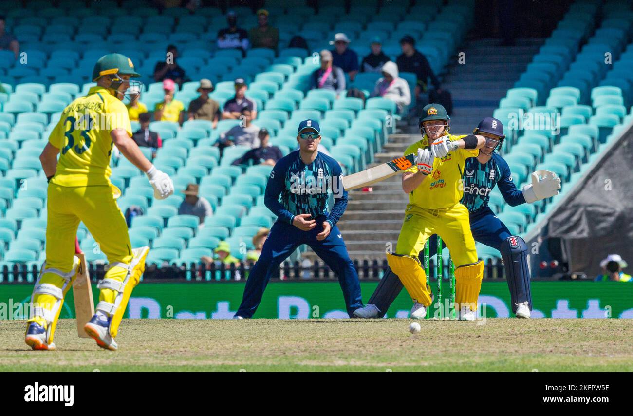 Sydney, Australien. 19. November 2022. Cricket-Spiel zwischen Australien und England in der „One Day International“-Serie (ODI) 2022-2023 auf dem Sydney Cricket Ground. Im Bild: Steve Smith. Stockfoto