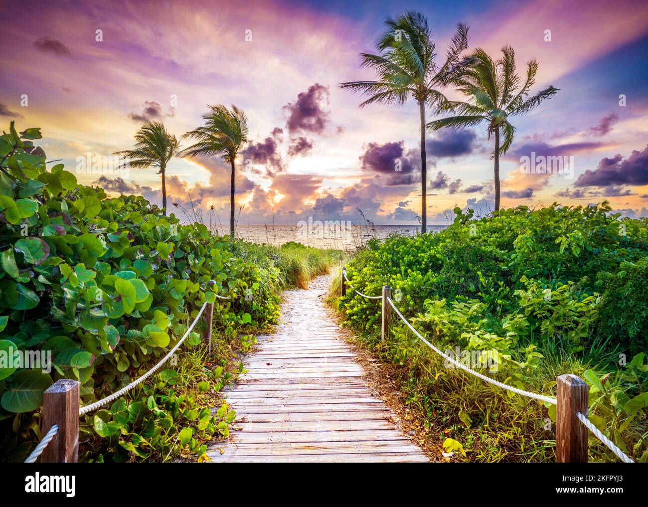 Wunderschöner Strandpfad, eingerahmt von Palmen, der zum Strand, Hollywood Beach, Sunrise Miami, South Florida, USA führt Stockfoto