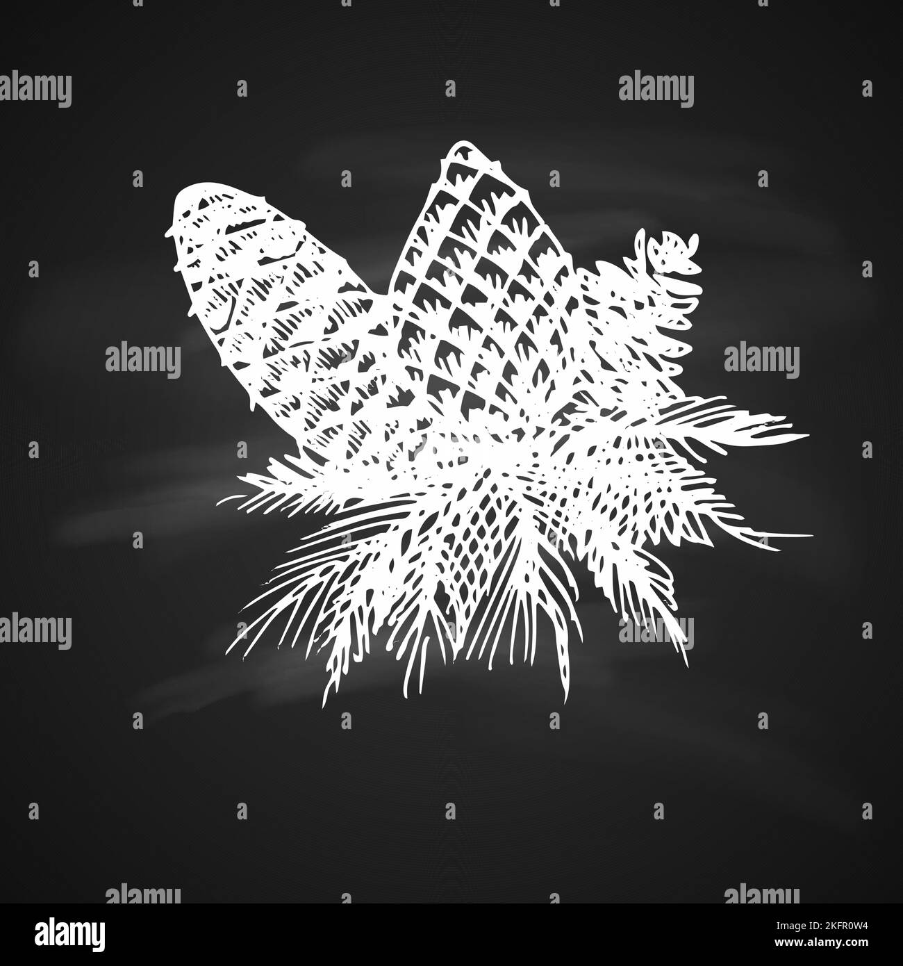 Kreide Zeichnung Künstlerische Weihnachten Doodle Symbol. Handgezogene Tannenzapfen. Neujahrs-Vintage-Design für Weihnachtskarte oder Einladung auf Tafel Stock Vektor