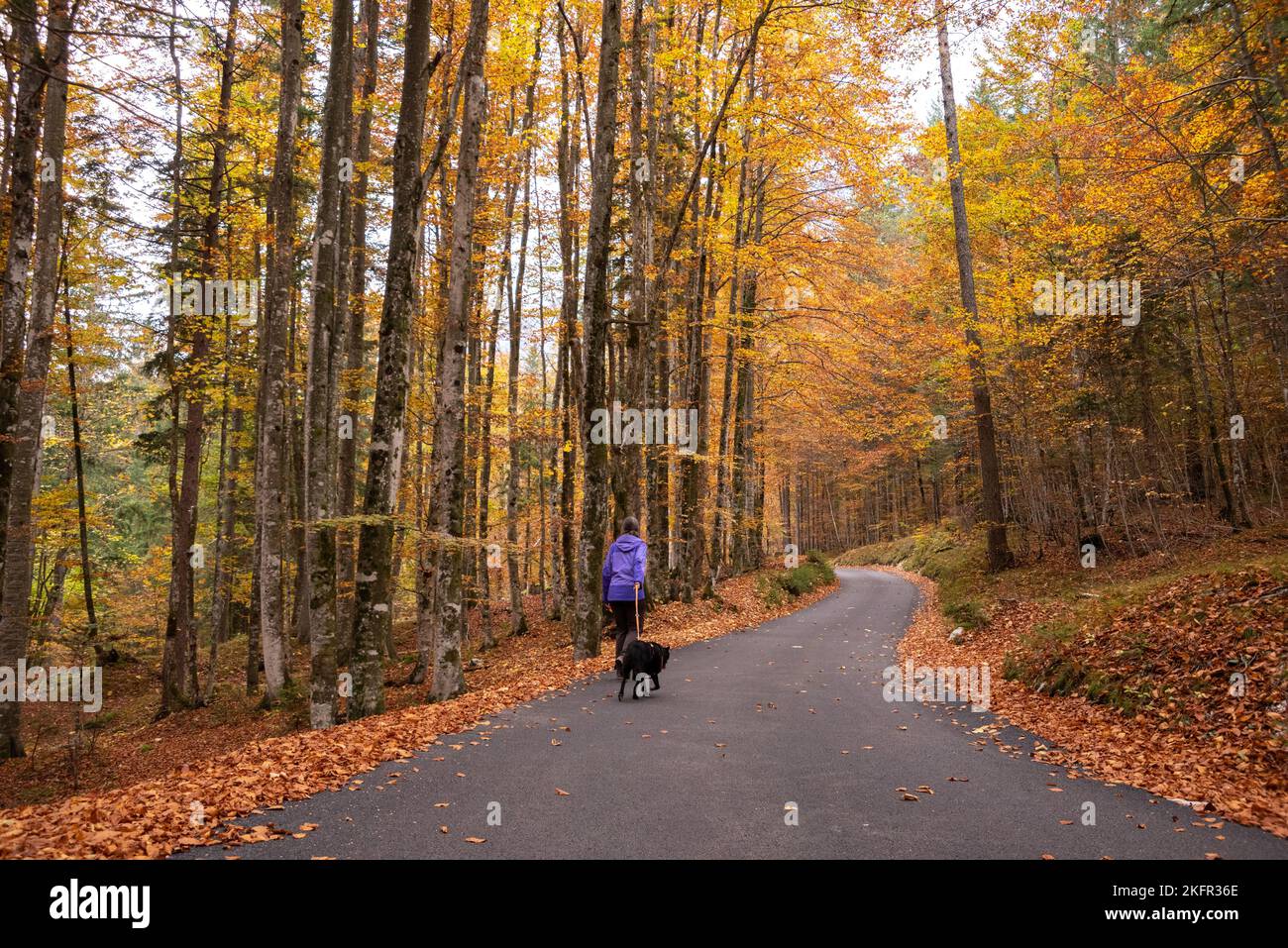 Wandern durch das Vrata-Tal im Herbst, Triglav Nationalpark in den Julischen Alpen, Slowenien Stockfoto