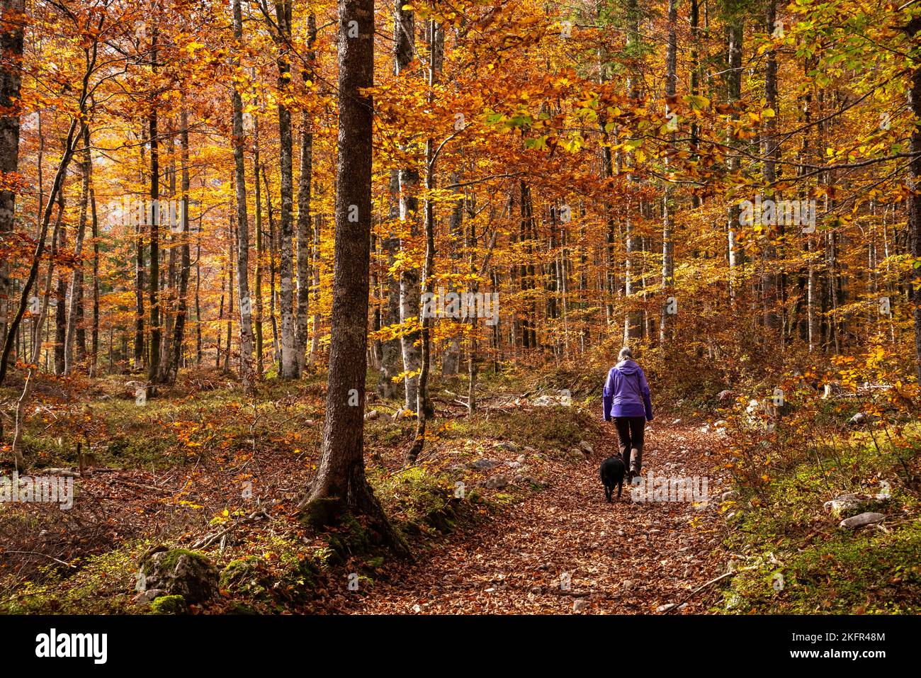 Wandern durch das Vrata-Tal im Herbst, Triglav Nationalpark in den Julischen Alpen, Slowenien Stockfoto