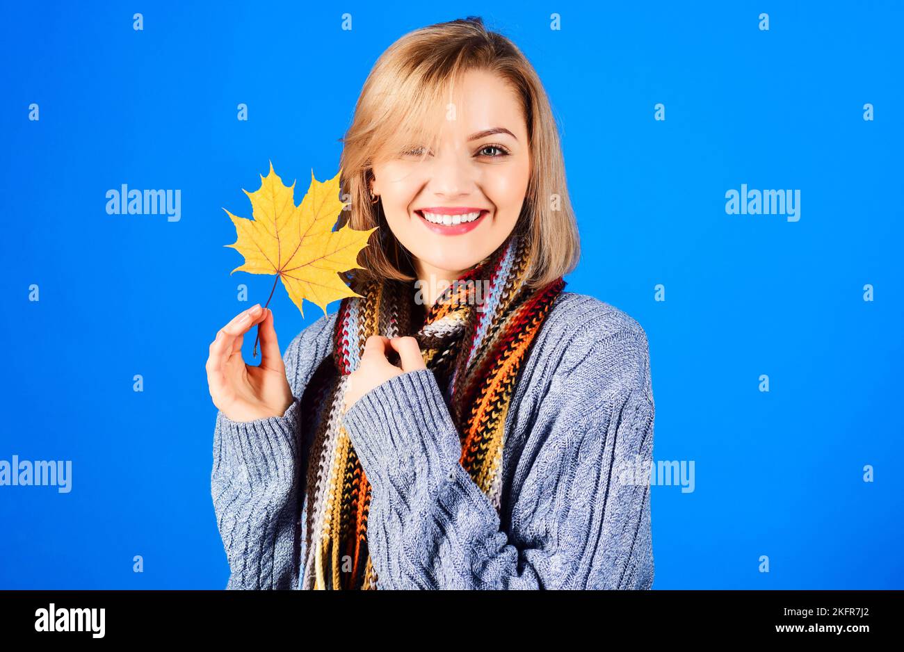 Herbst. Porträt einer lächelnden Frau mit Ahornblättern. Fröhliches Mädchen in warmem Strickpullover und Schal. Stockfoto