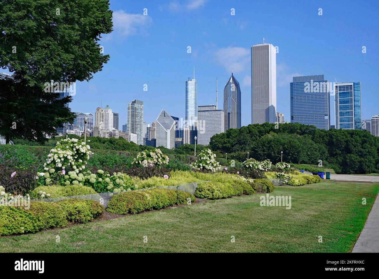 Skyline von Chicago vom Grant Park aus gesehen Stockfoto