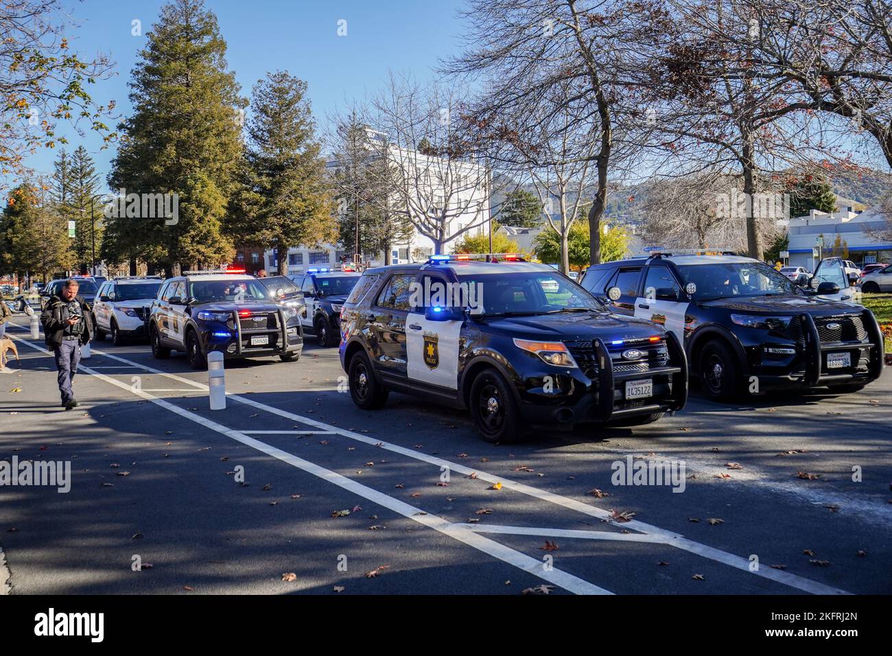 Berkeley, Usa. 19.. November 2022. Polizist arbeitete an dem Fall und Polizeifahrzeuge parkten auf der Straße. Ein Verdächtiger einer Verkehrsverletzung wurde von sieben Polizeifahrzeugen überfahren und von der Polizeibehörde von Berkeley verhaftet. Kredit: SOPA Images Limited/Alamy Live Nachrichten Stockfoto