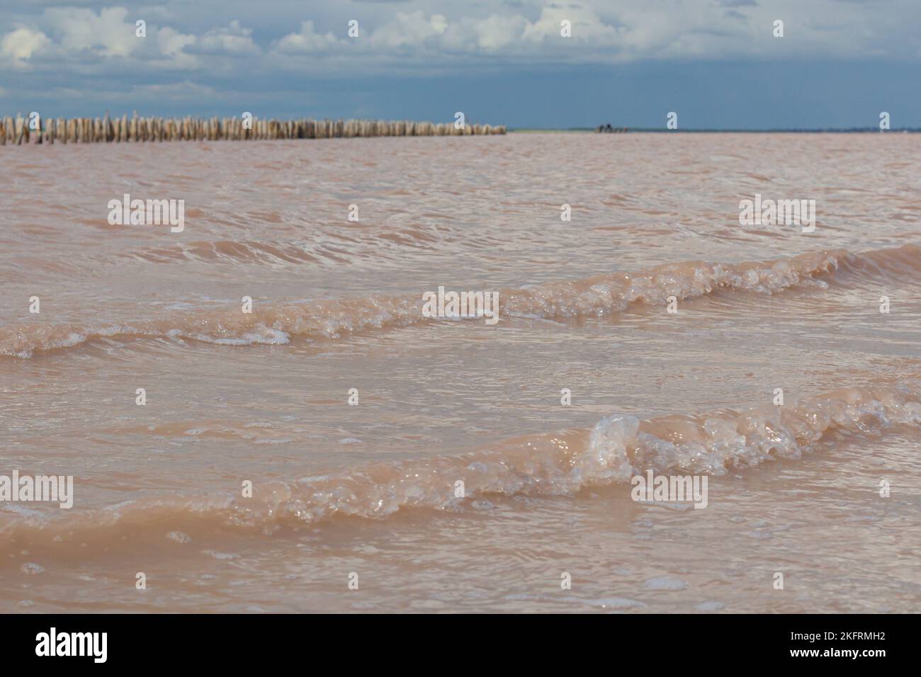 Salzlake und Salz eines rosa Sees, gefärbt von Mikroalgen Dunaliella salina, berühmt für seine antioxidativen Eigenschaften, angereichert Wasser mit Beta-Carotin, verwendet Stockfoto