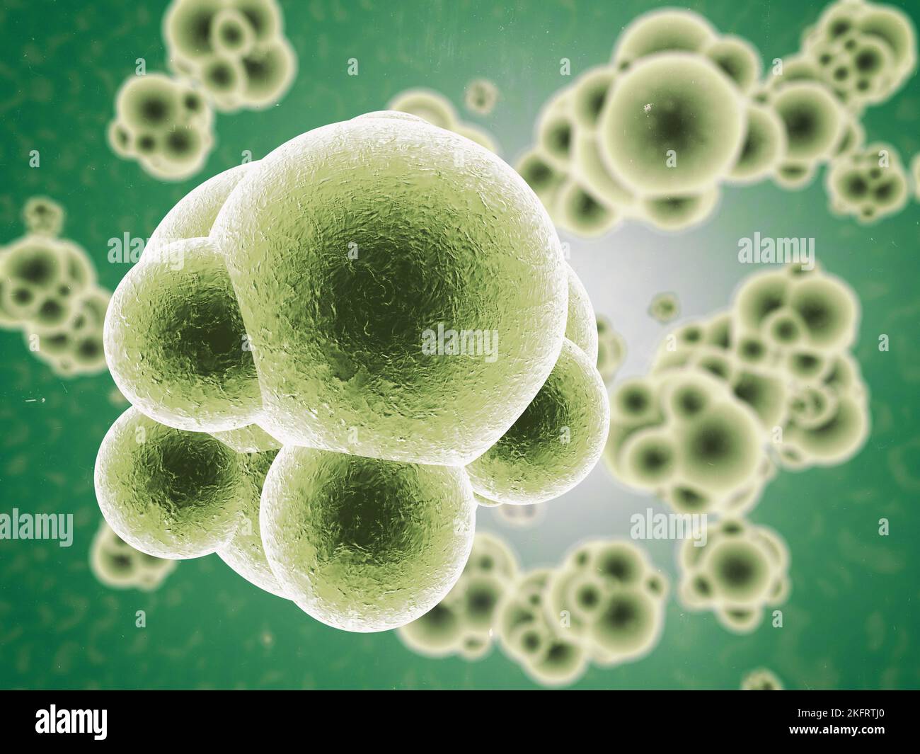 Geht fort und vervielfacht euch. Mikroskopische Ansicht multiplizierender Moleküle in Farbe. Stockfoto
