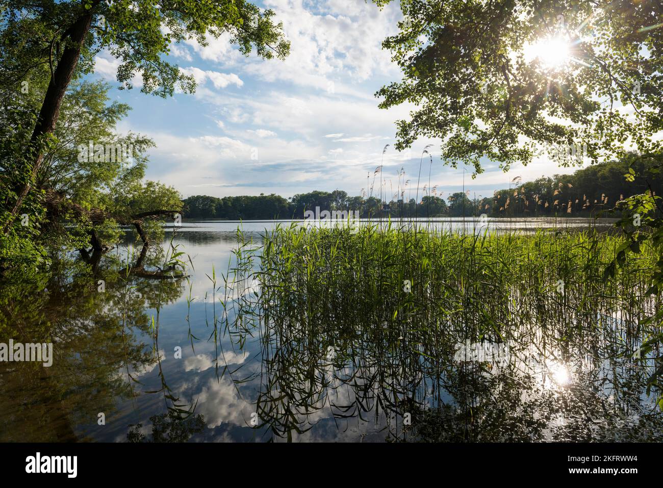 Schaalsee bei Seedorf, UNESCO-Biosphärenreservat Schaalsee, Lauenburger ...