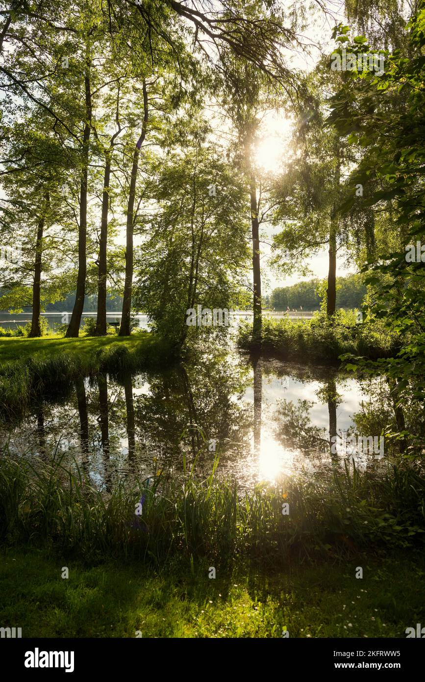 Schaalsee bei Seedorf, UNESCO-Biosphärenreservat Schaalsee, Lauenburger ...