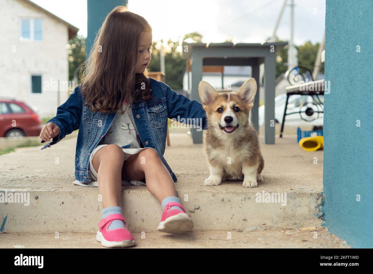 Porträt eines wunderbaren kleinen Mädchens mit langen dunklen Haaren, das eine Jeansjacke trägt, streichelndes Fell eines fröhlichen welsh pembroke Corgi-Welpen-Haustiers, sitzend Stockfoto