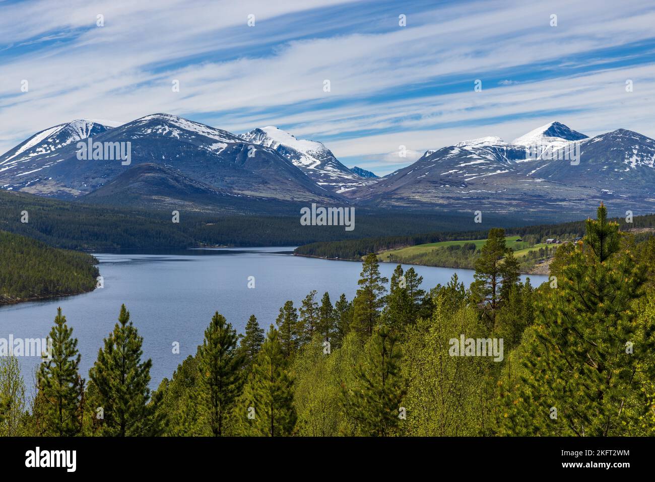 Bergpanorama bei Rondane Turistvej, Norwegen, Europa Stockfoto