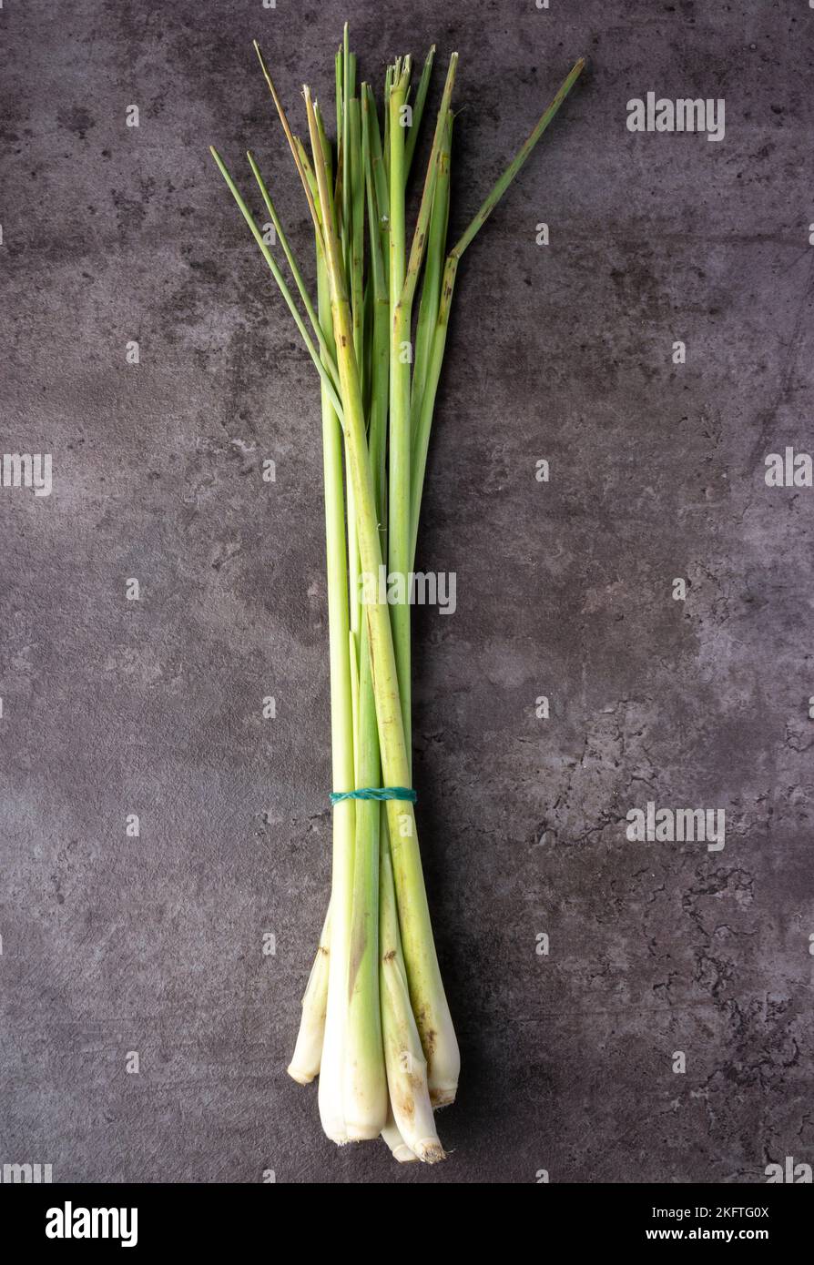 Frisches Lemongrass auf dunklem Hintergrund. Aromatisches Kraut. Tradizionale Medizin. Für duftende abweisende Kräuter. Draufsicht. Stockfoto