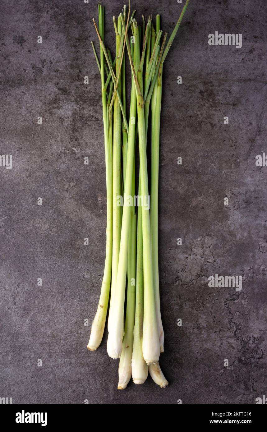 Frisches Lemongrass auf dunklem Hintergrund. Aromatisches Kraut. Tradizionale Medizin. Für duftende abweisende Kräuter. Draufsicht. Stockfoto