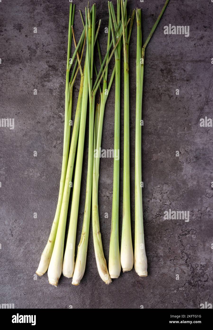 Frisches Lemongrass auf dunklem Hintergrund. Aromatisches Kraut. Tradizionale Medizin. Für duftende abweisende Kräuter. Draufsicht. Stockfoto