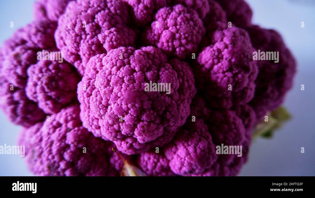 Draufsicht ganzer violetter oder violetter Blumenkohl auf dem unscharfen Backgorund, isoliert, Nahaufnahme, selektiver Fokus. Stockfoto