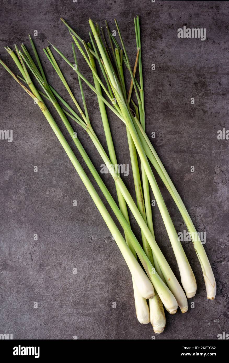 Frisches Lemongrass auf dunklem Hintergrund. Aromatisches Kraut. Tradizionale Medizin. Für duftende abweisende Kräuter. Draufsicht. Stockfoto