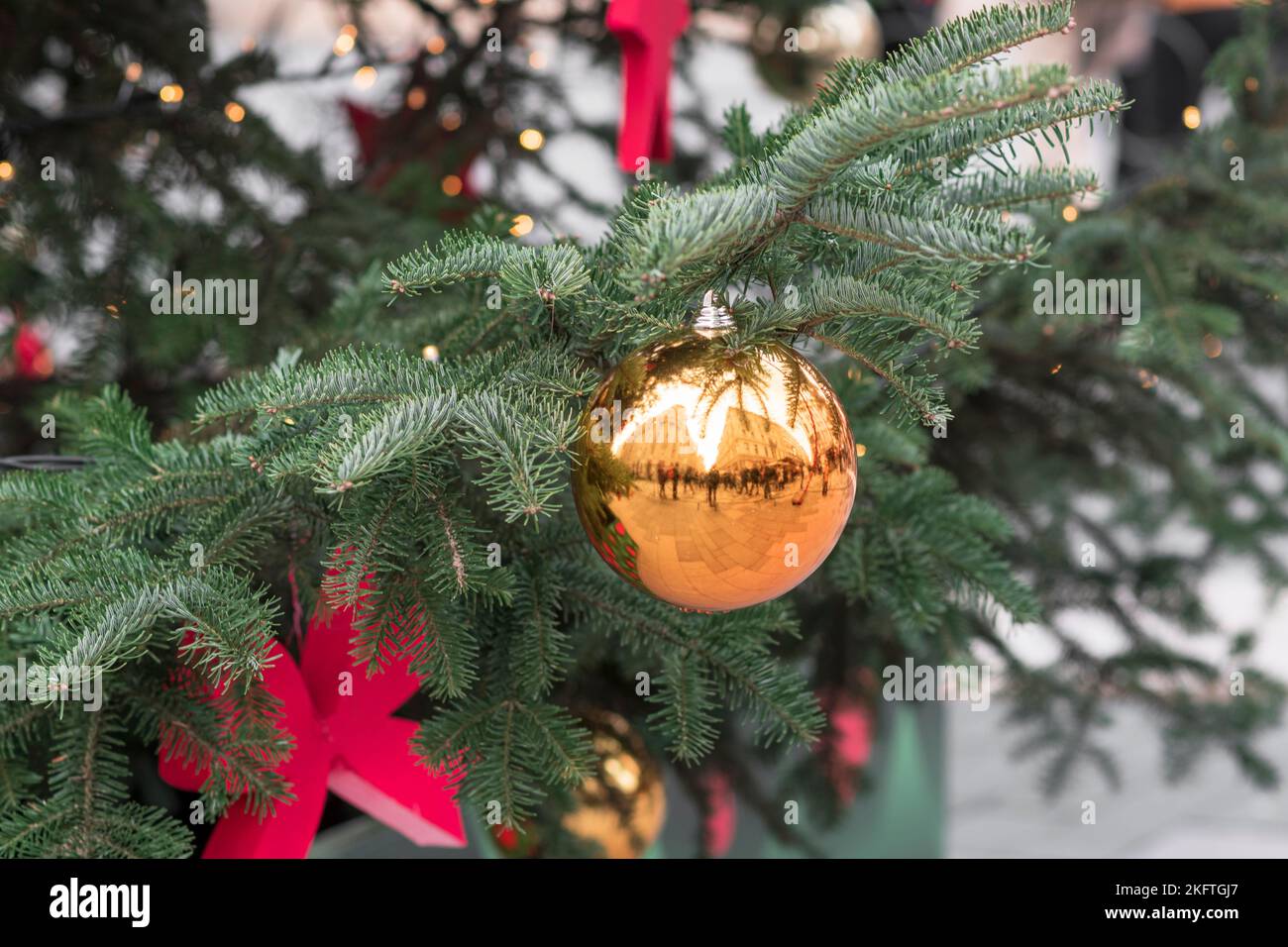 Goldene Weihnachtskugel und rote Ornamente, die während des Advents an einem Zweig des Weihnachtsbaums auf einem Jahrmarkt hängen Stockfoto