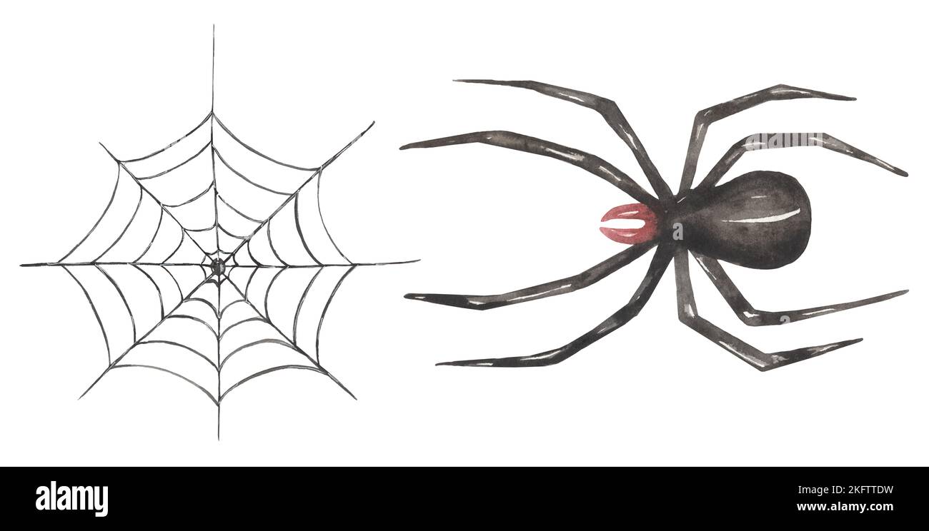 Halloween Cliparts, Aquarell Spooky Illustration Set, Black Spider und Spinnennetz Clip Art, Kids Fall Scary Party Stockfoto