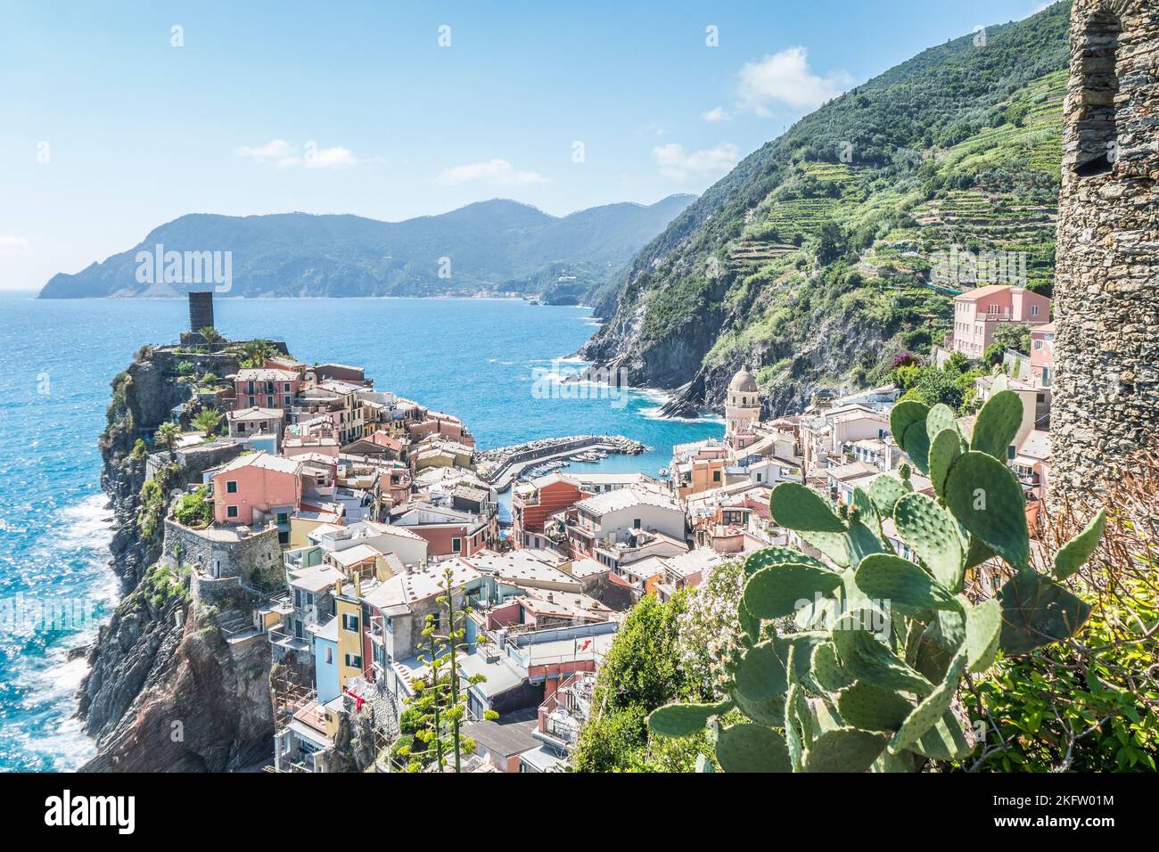 Luftaufnahme von Vernazza in den Cinque Terre mit bunten Häusern und Fettpflanzen Stockfoto