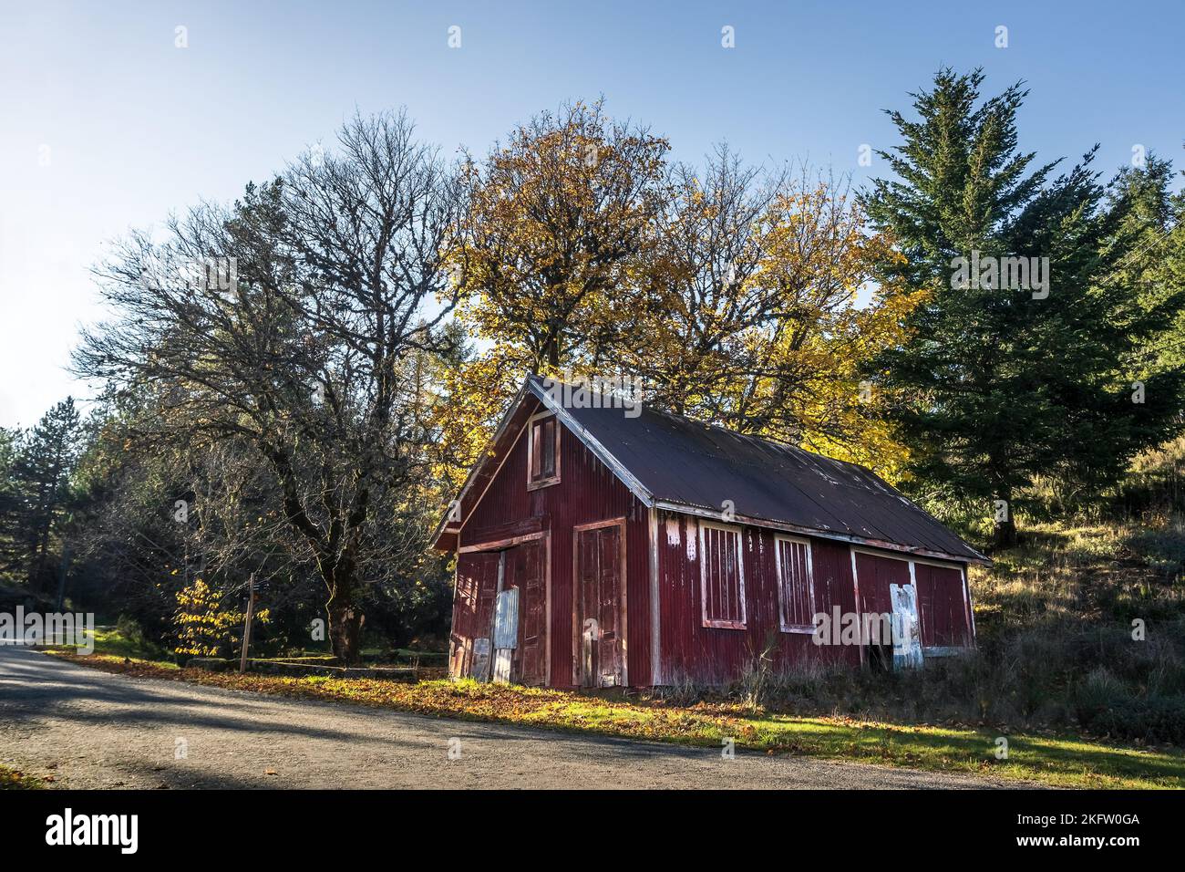 Verlassene rote Scheune mit gelben Bäumen dahinter, in Penhas Douradas, Serra da Estrela, Portugal. Stockfoto