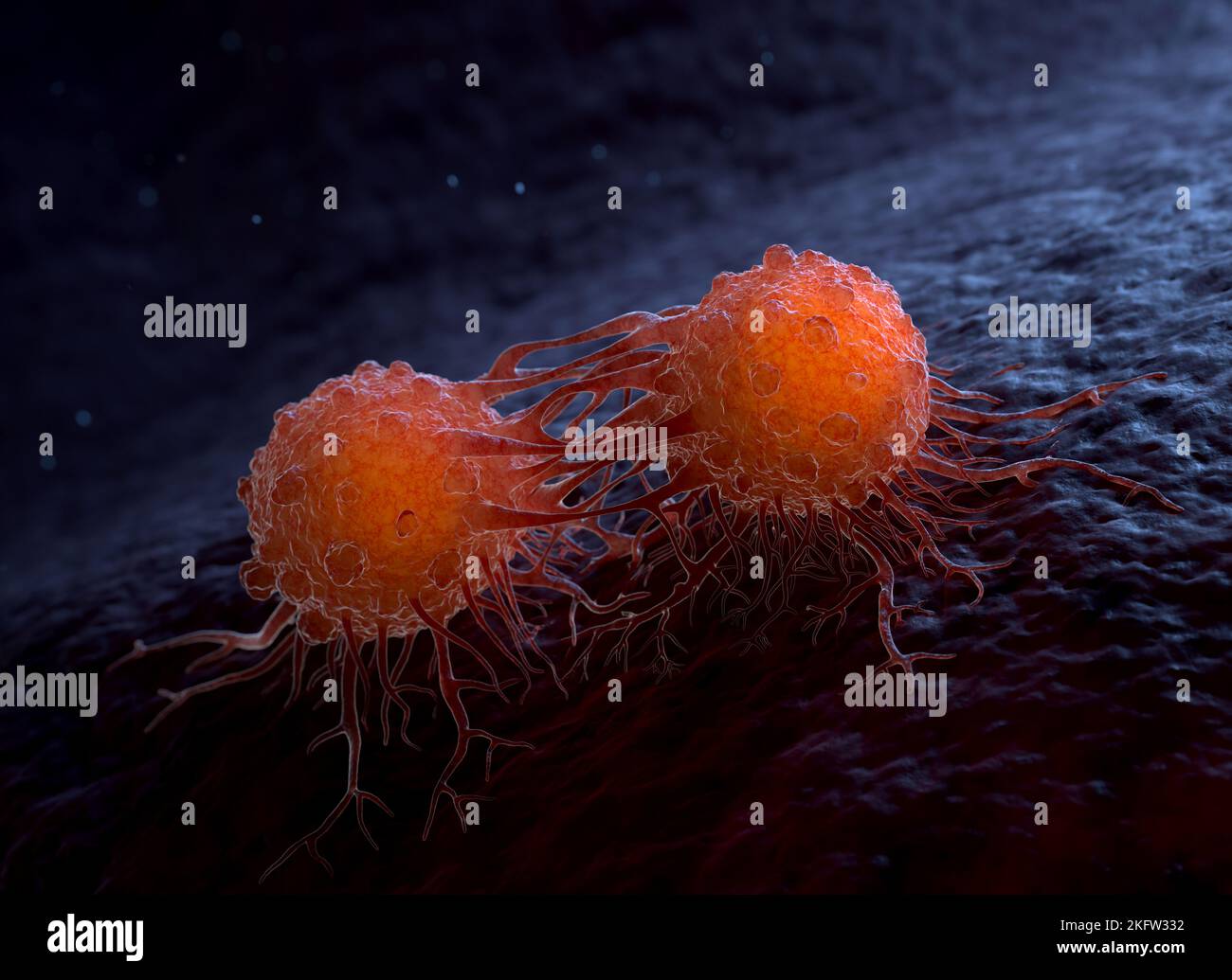 Krebszellen können zu anderen Körpergeweben oder Organen wandern und Metastasen aufbauen. 3D Abbildung Stockfoto