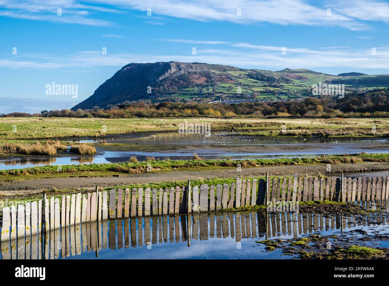 Blick auf den Penmaen Mawr-Hügel über Teiche im Morfa Madryn Nature Reserve, Llanfairfechan, Conwy, North Wales, Großbritannien, Großbritannien Stockfoto
