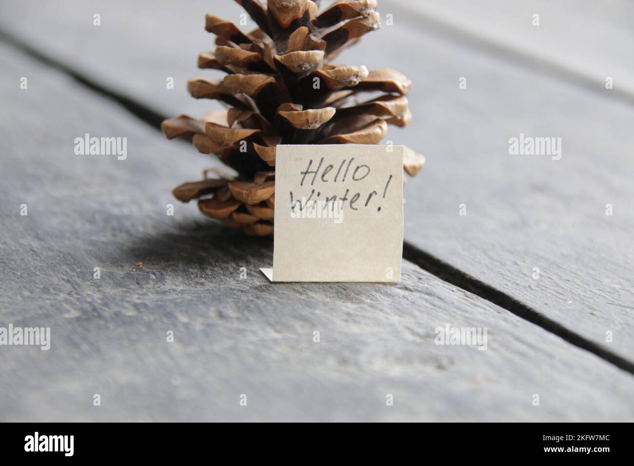 Hallo Winterkonzept. Die Inschrift und der Kegel des Weihnachtsbaums. Stockfoto