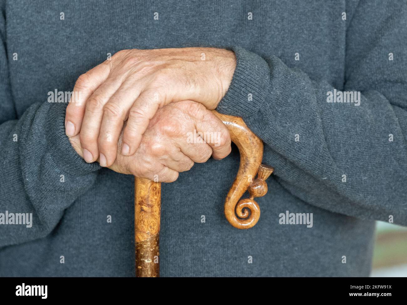 Shepherd lehnt sich auf seinen Gauner, Hill Cheviot Verkauf im Lockerbie Auktionsmarkt, September 2021. Stockfoto