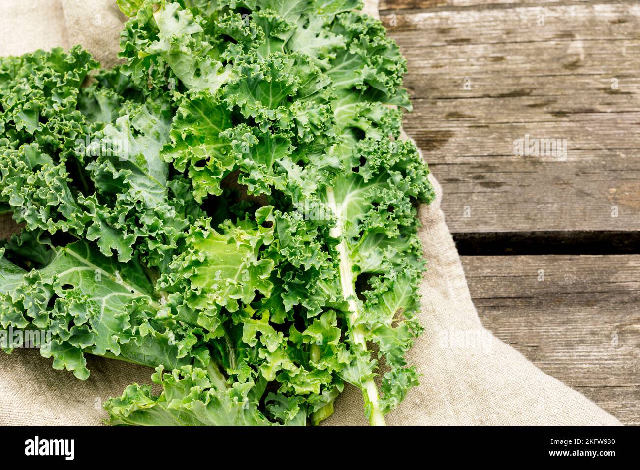 Natürliches Gemüse für Salat. Bio-Grünkohlblätter auf einem Holztisch. Umweltfreundliche, vegane oder vegetarische Speisen. Lokal angebaut, Landwirt, Bio Stockfoto