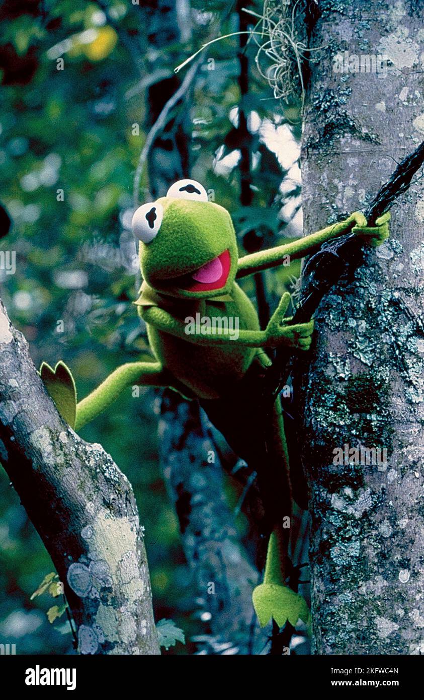 KERMIT KERMIT'S SWAMP, Jahre, 2002 Stockfotografie Alamy