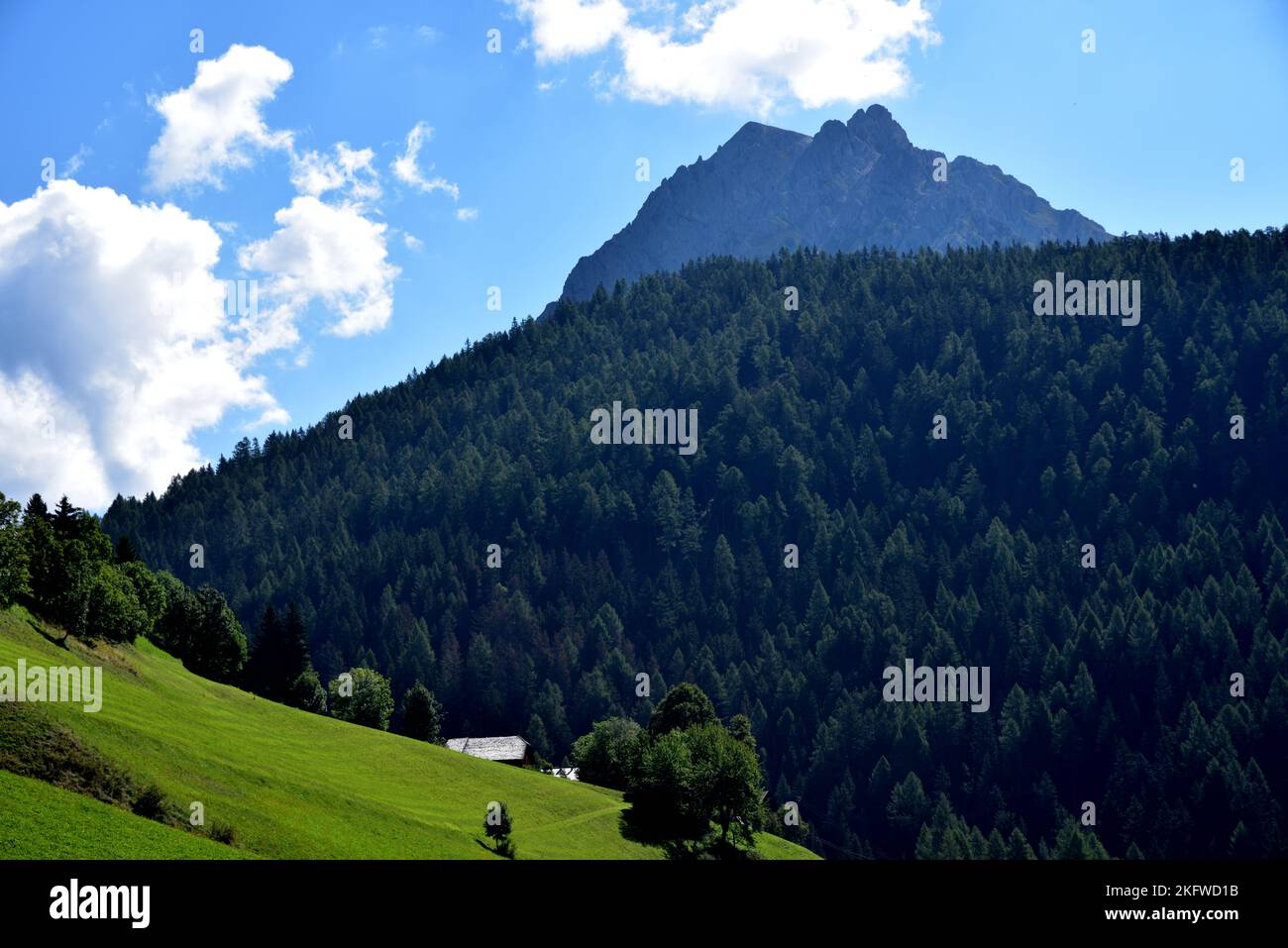 Piz da Peres, ein 2507 Meter hoher Berg mit Blick auf den Furcia-Pass zwischen Olang und Alta Badia Stockfoto