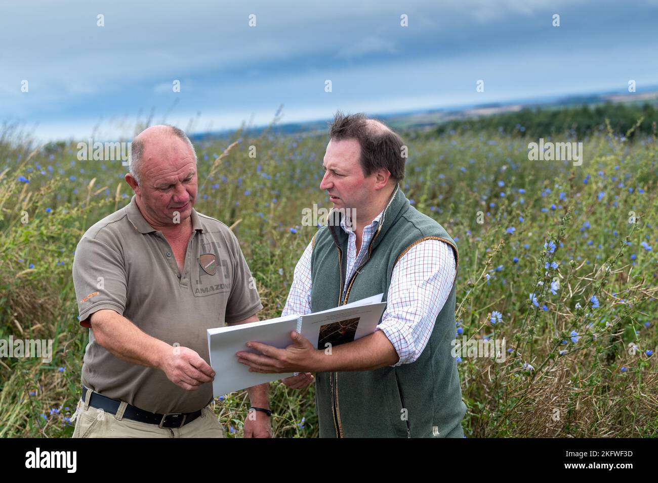 Landagent und Landwirt diskutieren über die Betriebsführung auf einem Ackerbaubetrieb in Northumberland, Großbritannien. Stockfoto