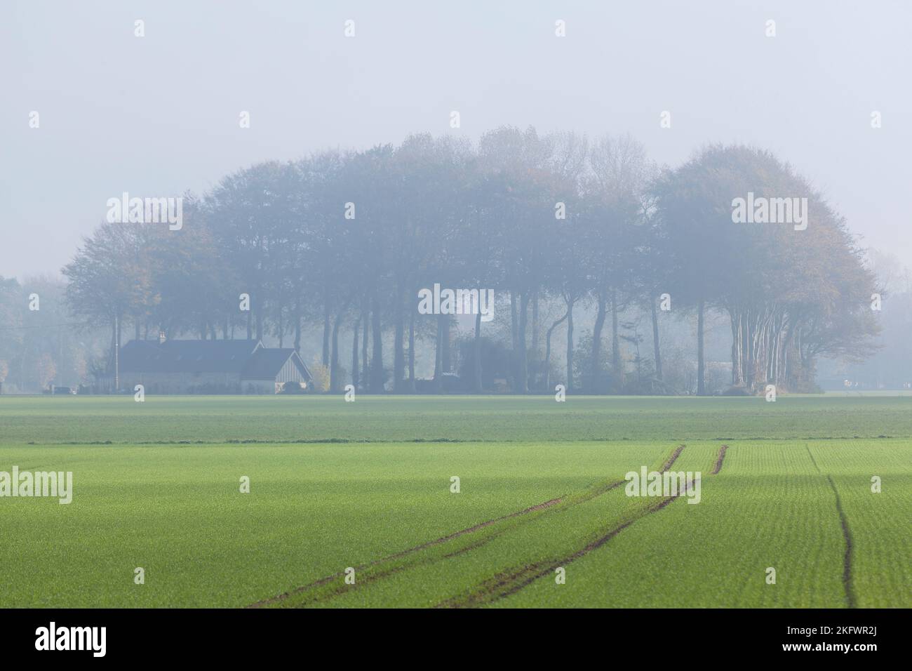 Wald und Bauernhaus, Normandie, Frankreich Stockfoto Wald und Bauernhaus, Normandie, Frankreich Stockfoto