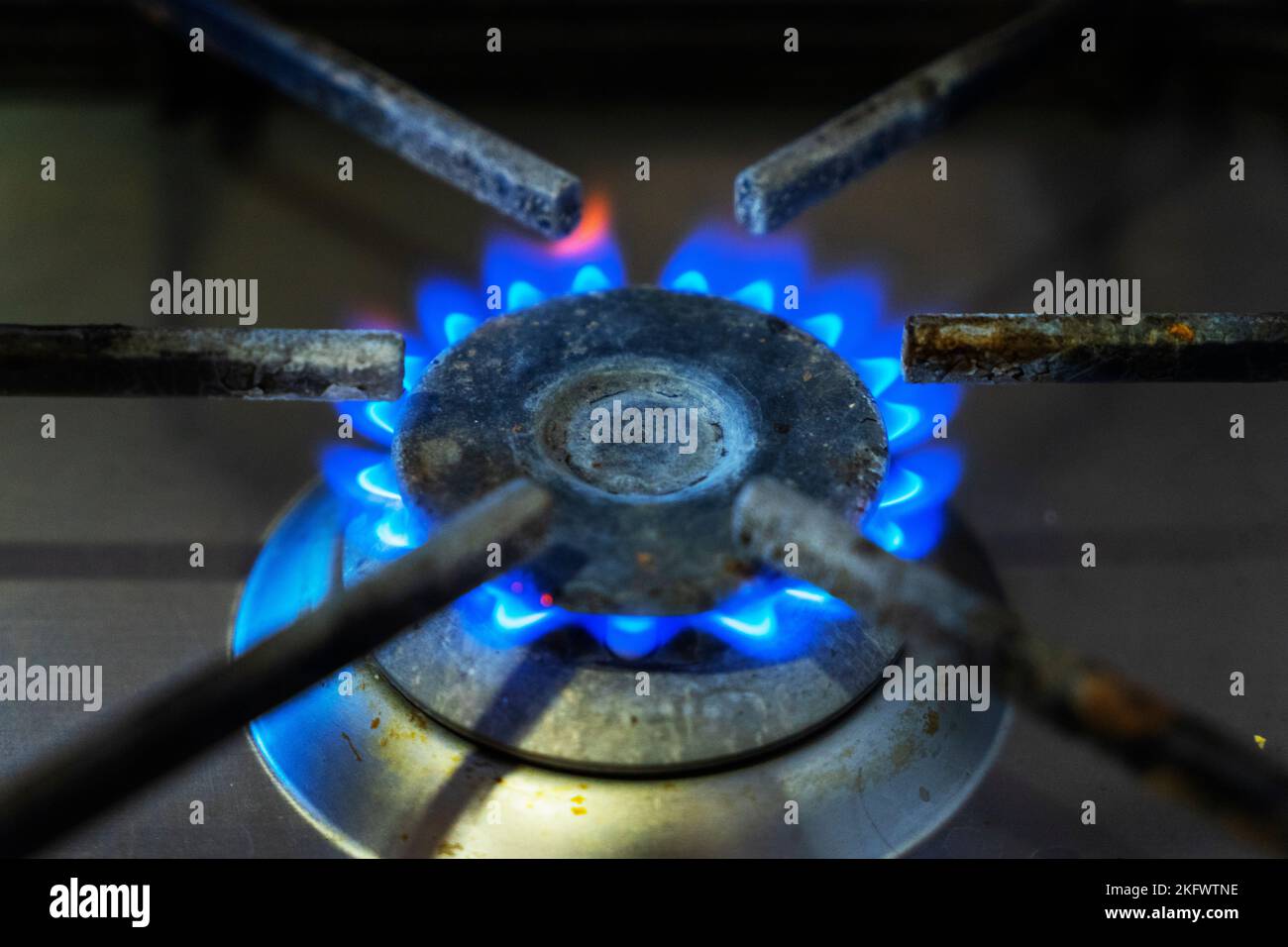 Blaue Gasflammen, die aus einem Küchengasherd brennen. Fokussieren Sie die Vorderkante der Heizplatte. Stockfoto