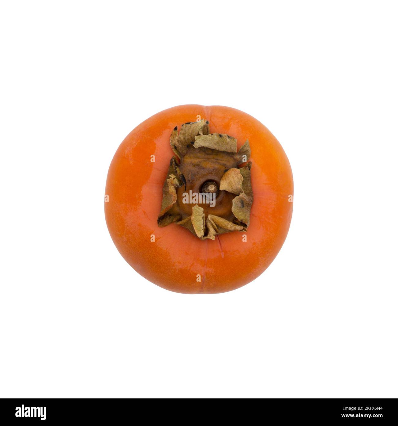 Kaki farbe Ausgeschnittene Stockfotos und -bilder - Alamy Kaki farbe Ausgeschnittene Stockfotos und -bilder - Alamy