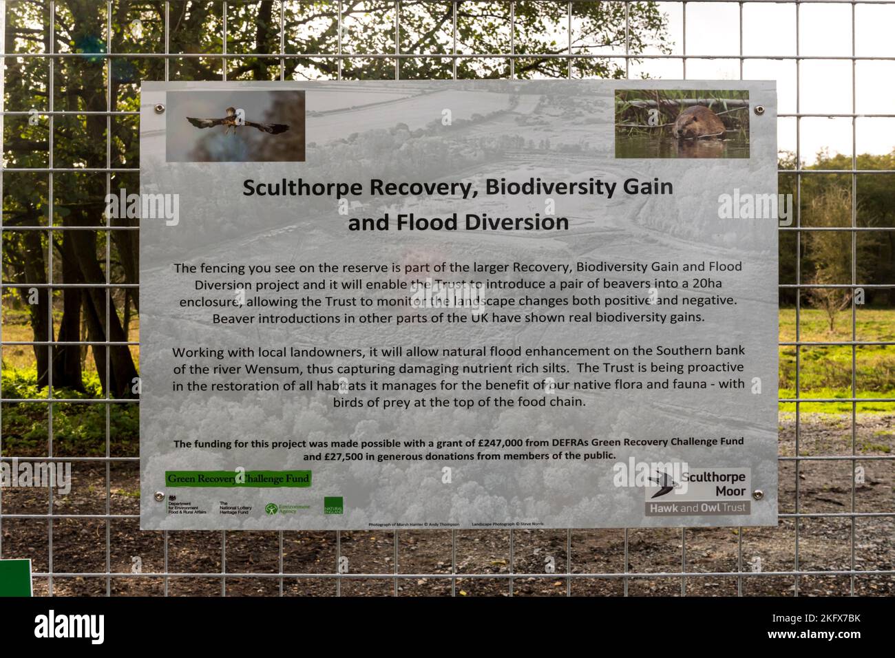 Ein Schild am Sculthorpe Moor Nature Reserve erklärt die Einführung von Bibern im Rahmen des Projekts Recovery, Biodiversity Gain & Flood Diversion. Stockfoto