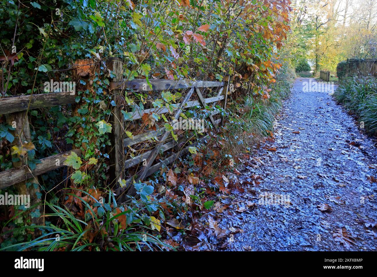 Herbstfarben und schlammige Gasse mit Tor mit fünf Bars. St. Fagans National Museum of Histor. Amgueddfa Werin Cymru. November 2022. Stockfoto