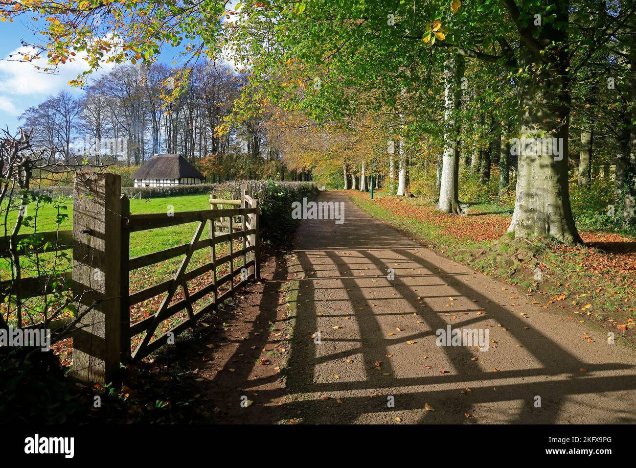 Lane mit Schatten und Herbstfarben, Abernodwydd Bauernhaus, Fagans National Museum of Histor. Amgueddfa Werin Cymru. Aufgenommen Im November 2022. Herbst. Stockfoto