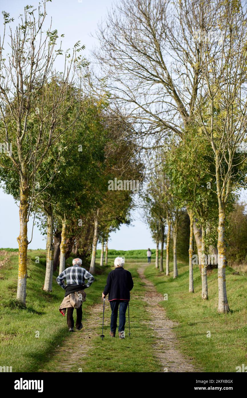 Marche et marche nordique, ideales pour les personnes du troisieme et quatrieme age et pour entretenir la sante | Nordic Walk oder klassische Wanderung auf einem pa Stockfoto