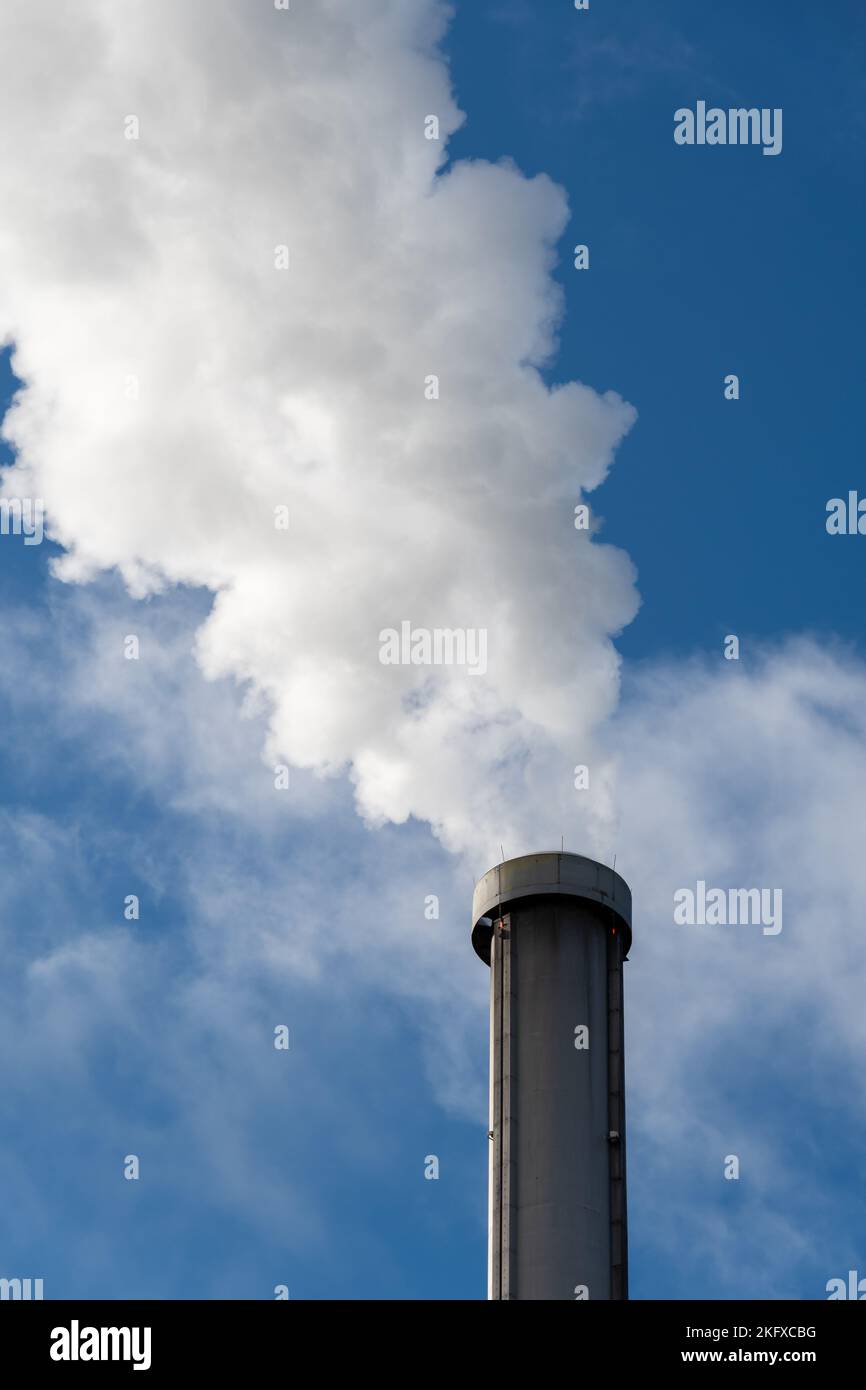 Nahaufnahme eines dichten weißen Rauchs, der aus einem Industrieschornstein vor einem blauen Himmel kommt Stockfoto