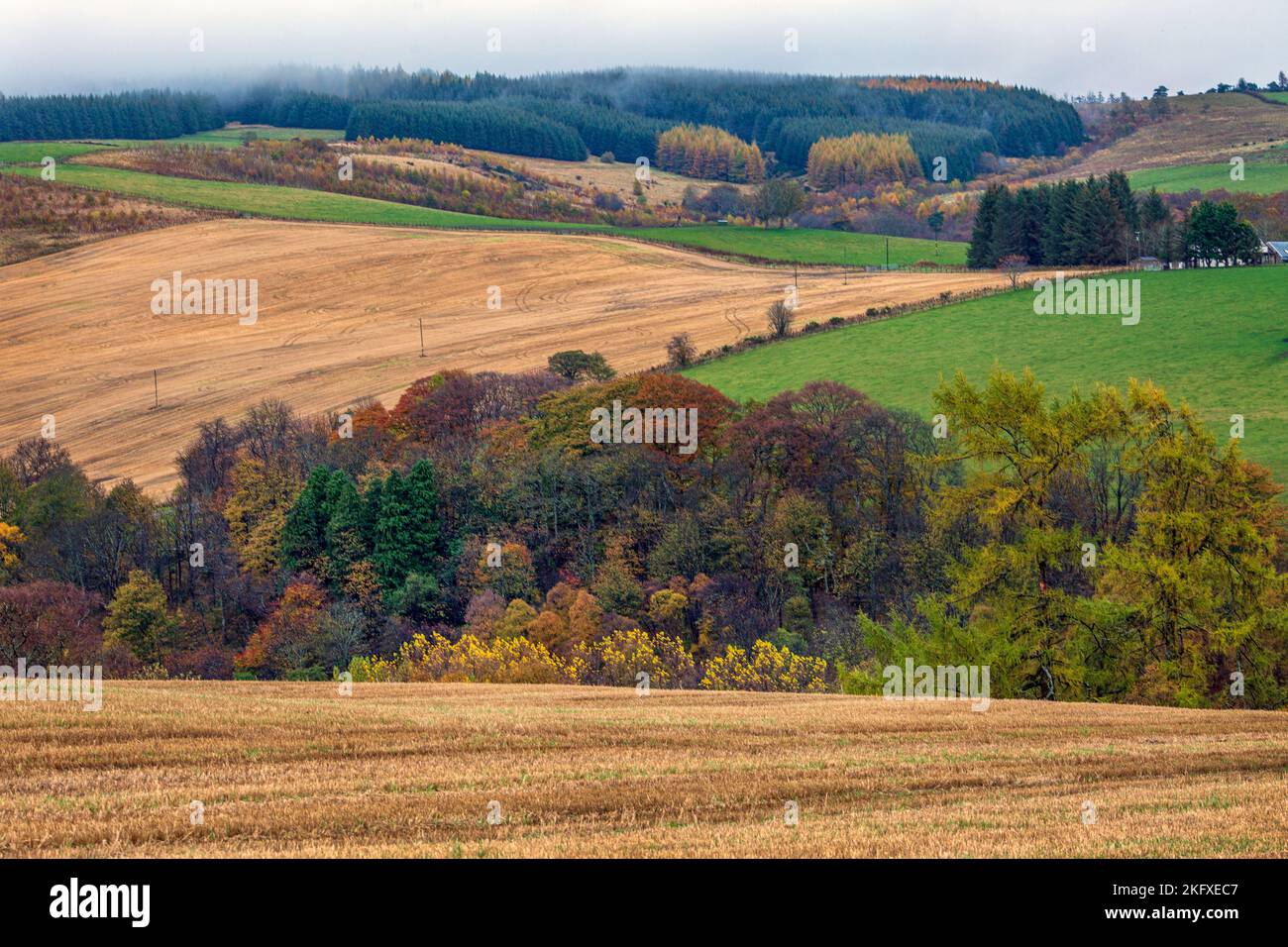 Die Hügel von Speyside, Schottland Stockfoto