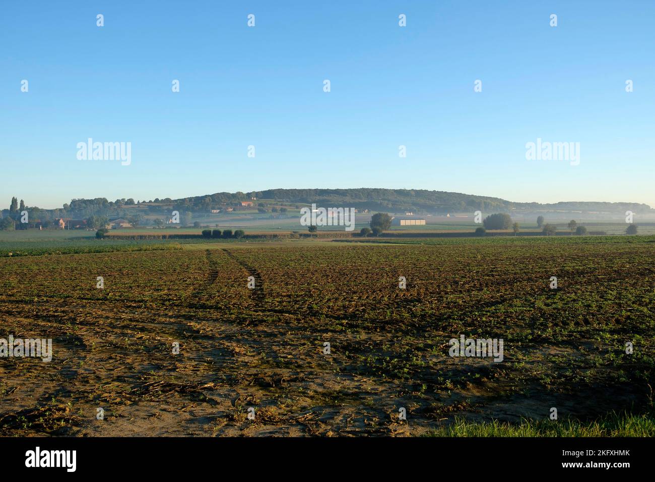 Panoramablick auf den Kemmel Mont der höchste Punkt der Provinz West Flander | Vue panoramique sur le Mont Kemmel le Point le plus eleve de la FLA Stockfoto