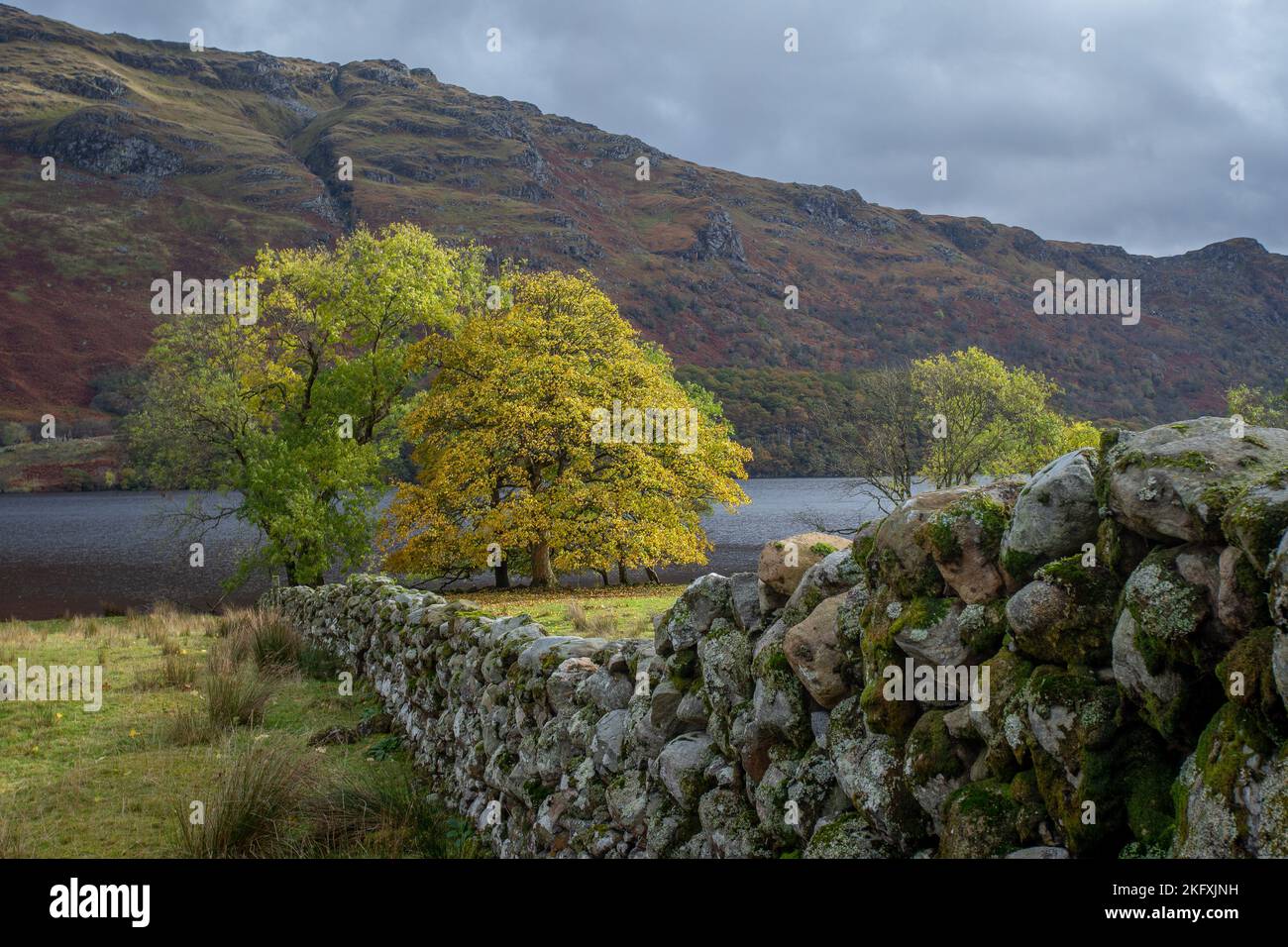 Herbstblick, Loch Lomond, Schottland, Großbritannien Stockfoto