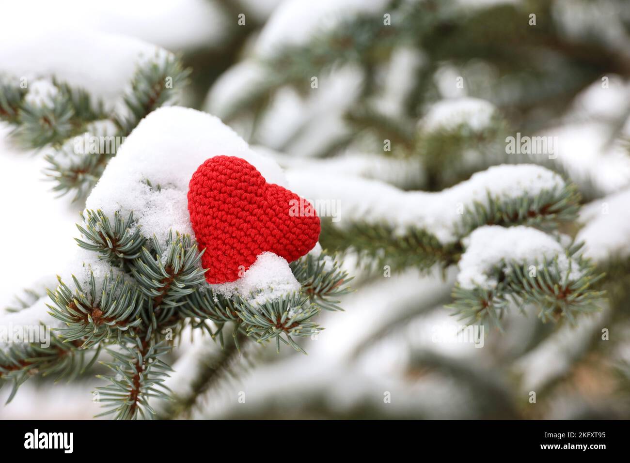 Rot gestricktes Herz auf schneebedeckten Tannenzweigen. Liebesherz, Symbol der romantischen Liebe, Konzept des Winterwetters, Schneefall, Weihnachtsstimmung Stockfoto