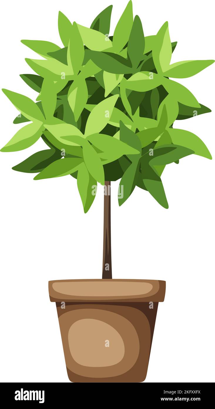 Dekorativer grüner Baum. Zimmerpflanze in einem Topf, isoliert auf weißem Hintergrund. Vektordarstellung Stock Vektor