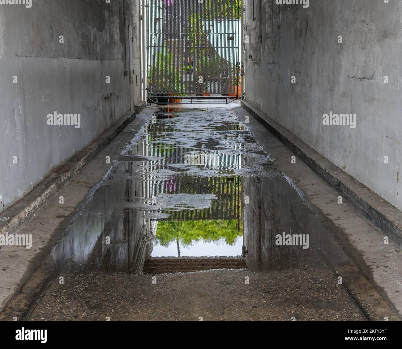 Eine große regen Pfütze Pools auf dem Boden in Dürre geritten Los Angeles. Stockfoto