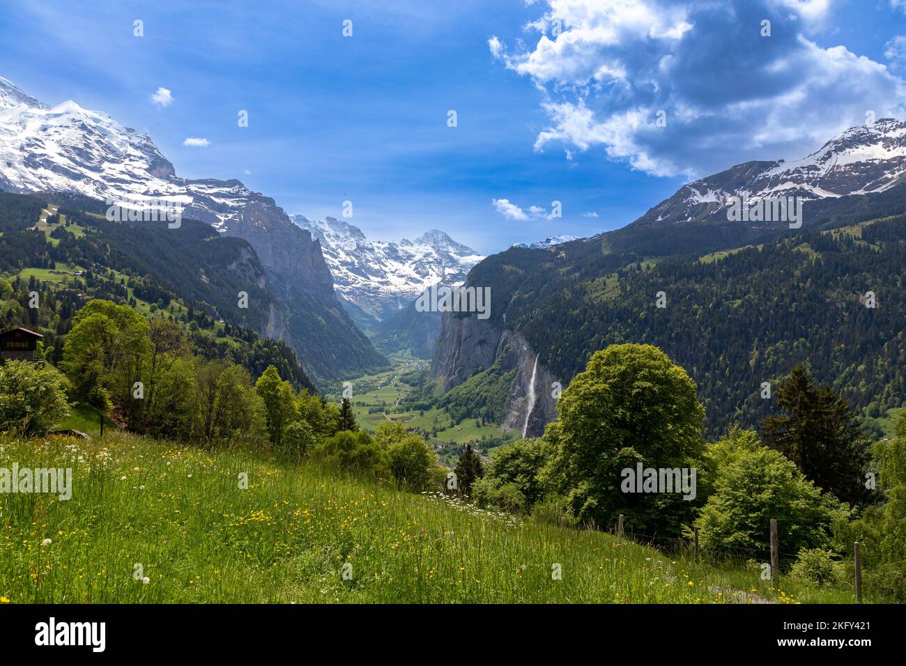 Landschaftsblick auf das Lauterbrunnen-Tal in der Schweiz. Im Hintergrund sind die schneebedeckten Schweizer Alpen im Vordergrund ein Stück wildes S Stockfoto