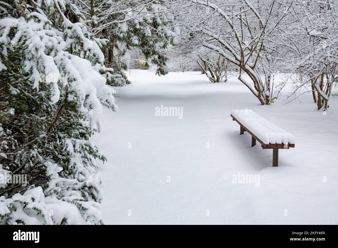 Stadtpark nach Schneefall. Schneebedeckter Winterpark mit dem Teppich aus weißem, unberührtem Schnee. Stockfoto