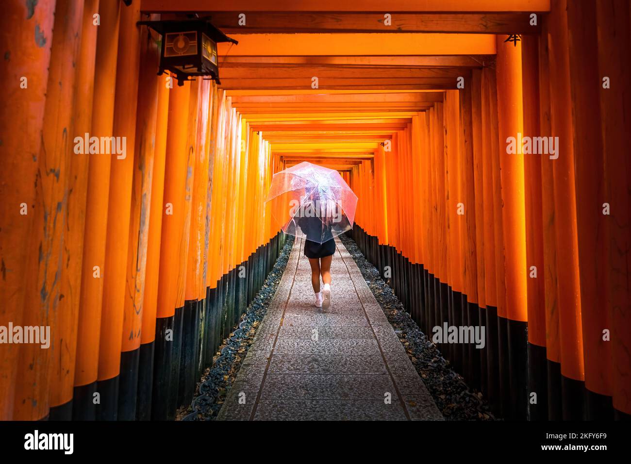 Frau, die mit einem Regenschirm durch die berühmten roten Tore bei Fushimi Inari Taisha in Kyoto, Japan, läuft Stockfoto