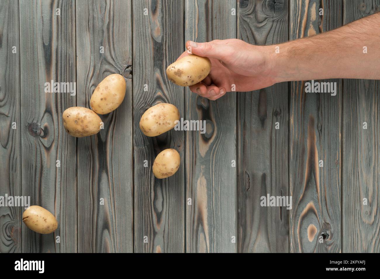 Gekürzter Mann Halten Sie rohe Kartoffeln auf Holzhintergrund mit der Hand. Ökologische Lebensmittel, landwirtschaftliche Produkte und gesunde Ernährung. Vegetarischer Lebensstil und natürlich Stockfoto